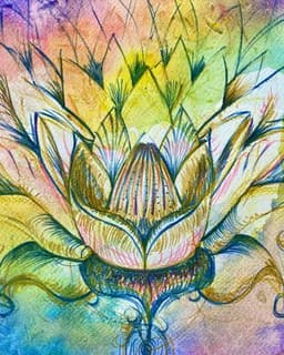 Rainbow Lotus Therapy