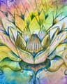 Rainbow Lotus Therapy