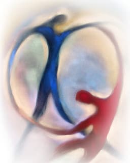 Healing Connections Therapy Center