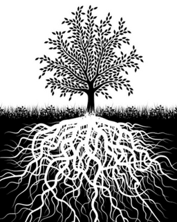 Bozeman Therapy & Counseling, LLC