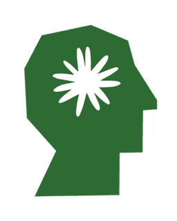 Catalyst Mental Health Duluth