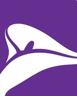 The Right Solution Counseling Service