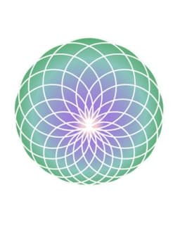 The Evolution Group, Inc - PTSD