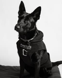 Minnesota Mental Health Services