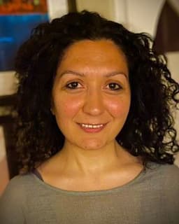 Sersaray S. Basarir Arslan