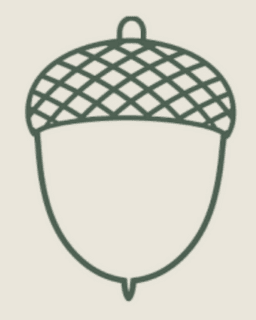 Attune Psychotherapy