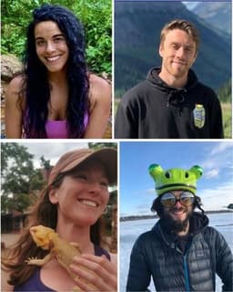 Catalyst Insight Collective