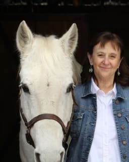 Grey Horse Counseling