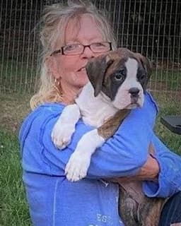 Desharnais Counseling Services P.L.L.C