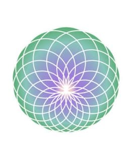 The Evolution Group, Inc. - General