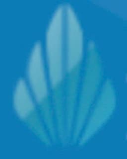 Family Care Counseling Associates