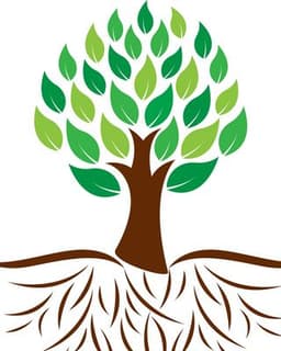 Thrive! Therapy and Executive Functioning Center