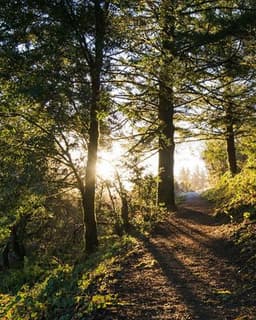 Therapy Associates, PLLC