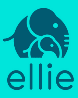 Ellie Mental Health - Pittsfield, MA