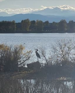 A New Experience Child and Family Counseling