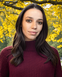 Christina Balasis Counseling PLLC