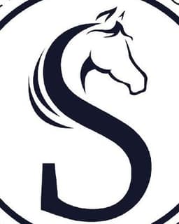 Sherlin Consulting Group