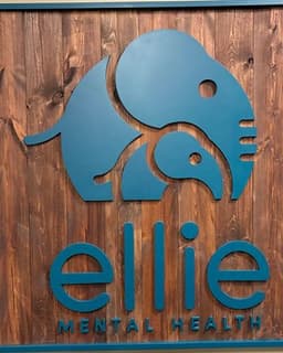 Ellie Mental Health Loveland