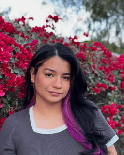 Leslie Velarde Solorio