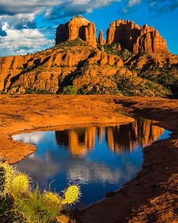 Thousand Branches Wellness - Mesa