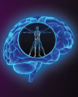 Brain Integration Therapies - Janet L. Wisinger