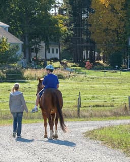 Wild Irish Farm, LLC