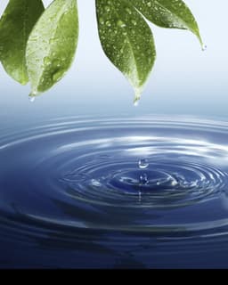 Compassionate Care LSC, INC