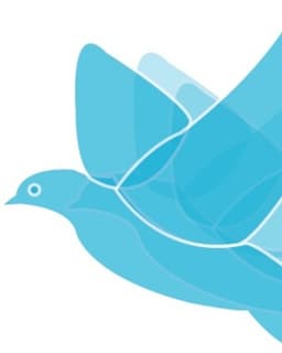 Mended Wing Counseling