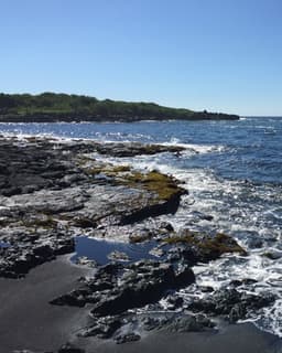 Psychology Consultants Associated