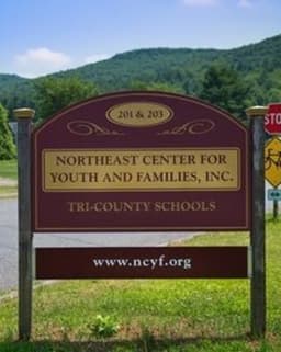 Northeast Center for Youth & Families