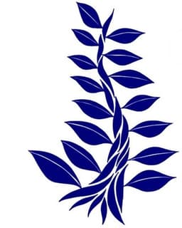 Aspects of Life Counseling Services LLC