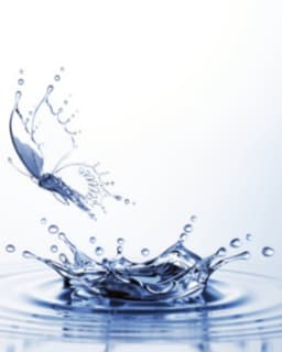 Transcending Hope Institute