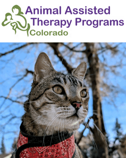 Animal Assisted Therapy Programs of Colorado