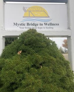 Mystic Bridge to Wellness
