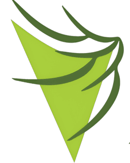 The Well Being, Counseling and Fitness Center