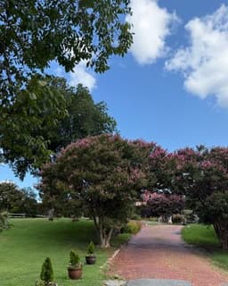 Christine Musello, Psy.D.