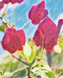 Life and Light Psychotherapy and Wellness