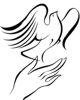 Take Flight Counseling Services LLC