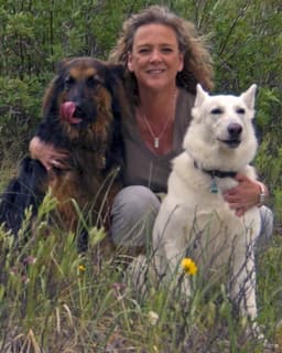 Psychological Services of WNY